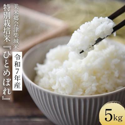 ふるさと納税 喜多方市 令和7年産　特別栽培米　ひとめぼれ　精米　5kg