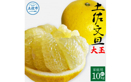 【先行予約】土佐文旦 大玉 家庭用 約10kg（2L～4Lサイズ混合：16～21玉)  数量限定 文旦 ぶんたん ブンタン 10キロ 柑橘 フルーツ 果物 ご当地 お取り寄せ 土佐 高知＜2027年1月中旬～順次発送＞【玉木農園】 [BQAJ001]