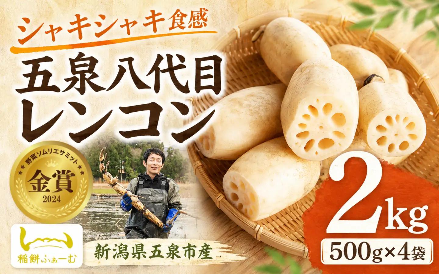 【先行予約】れんこん 五泉八代目レンコン 2kg (500g×4袋) 稲餅ふぁーむ | 新潟県 五泉市 レンコン 蓮根 野菜 根菜