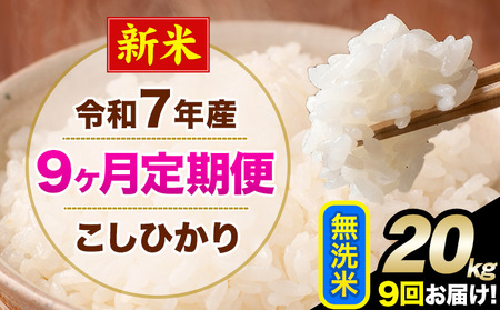 新米 令和7年産 【9ヶ月定期便】 こしひかり 20kg 無洗米 熊本県産(南阿蘇村産含む) 単一原料米 南阿蘇村 産 米 定期便《お申込月の翌月から出荷開始》