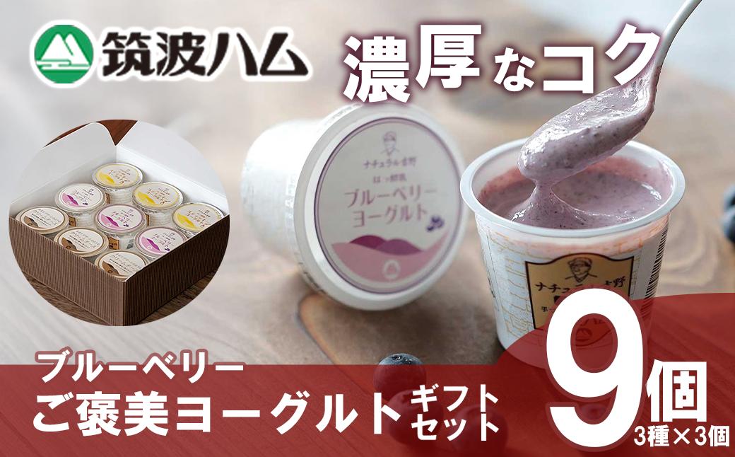 【 筑波ハム 】 ブルーベリー ご褒美ヨーグルト ギフトセット【 筑波ハム ヨーグルト クリームチーズ チーズ ブルーベリー ご褒美 乳 腸活 美容 健康 ギフト 贈答 茨城県産 国産 つくば市 】
