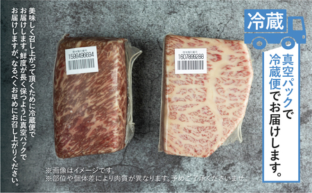訳あり 飛騨牛 ブロック 赤身肉 500g JAひだ 訳あり S469