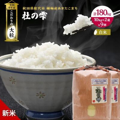 ふるさと納税 能代市 先行予約 新米 定期便9ヶ月 あきたこまち 20kg 計180kg [No.5335-1584]