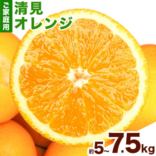 【ふるさと納税】【ご家庭用訳アリ】 紀州有田産清見オレンジ 約5kg 約7.5kg 株式会社魚鶴商店《2026年3月上旬-4月中旬頃出荷》 和歌山県 日高川町 オレンジ 柑橘 ご家庭用 フルーツ