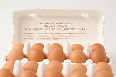 【5ヶ月定期便】料理人も「うまい！」と絶賛 昔の味たまご 20個入り（18個＋割れ補償2個）×5か月| 卵 鶏卵 玉子 たまご 生卵 国産 濃厚 コク 卵かけご飯 旨味 旨み ※着日指定不可