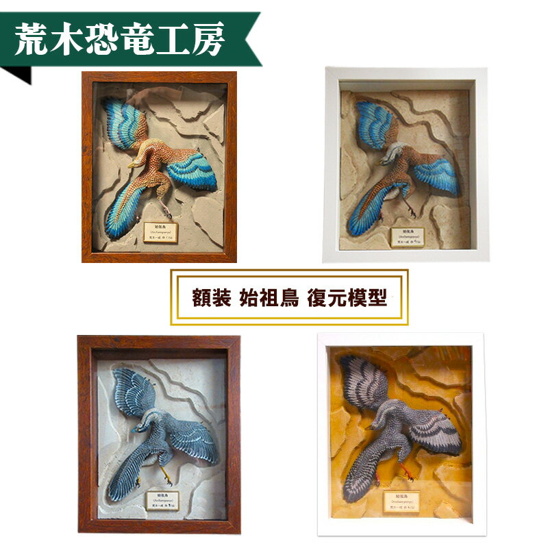 【ふるさと納税】額装 始祖鳥 復元模型　荒木恐竜工房　恐竜　模型