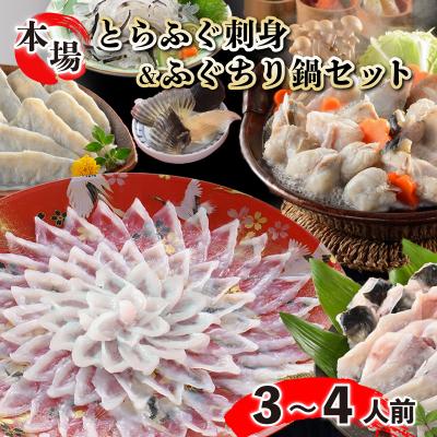 ふるさと納税 下関市 とらふぐ刺身とふぐちりセット ふぐひれ付き 3〜4人前 冷蔵 (解凍出荷) 下関 山口 FG022