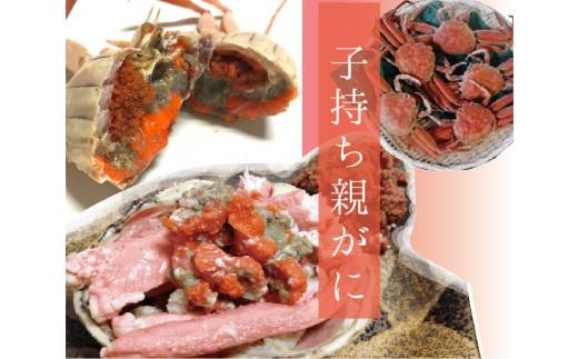 
                  特選とっとりセコガ二 (親ガニ)10枚セット【山根商店】
                