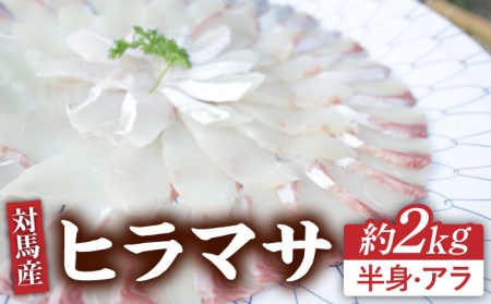 対馬 ヒラマサ 3枚おろし 約2kg [WAD011] 刺身 新鮮 ひらまさ 平政 