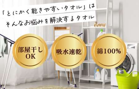 （今治タオルブランド認定）とにかく乾きやすいタオル バスタオル 3枚セット（ライトグレー）【I000410LGY】