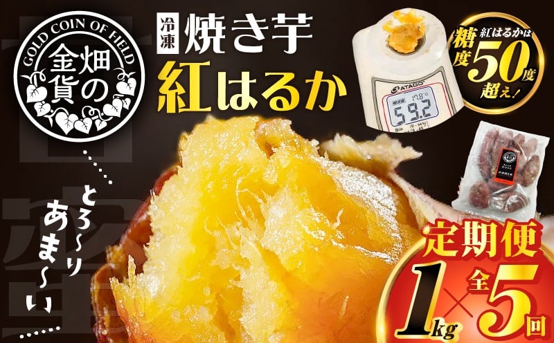 
【全5回】【畑の金貨】焼き芋紅はるか1kg 定期便　K181-T01
