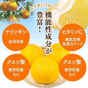 八朔 （はっさく） 5kg+250g（傷み補償分） / 八朔 八朔 八朔 和歌山 柑橘はっさく 晩柑はっさく ※2026年1月上旬～順次発送予定 【ikd221】