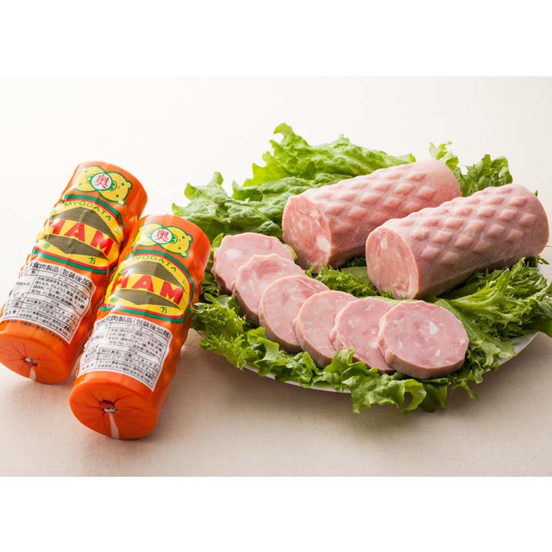 明方ハム Bセット ソーセージ ハム フランクフルト 詰め合わせ 計1470g 国産 豚肉 F6M-018