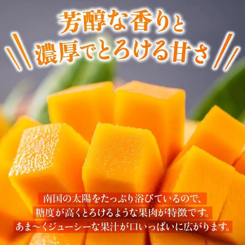 石垣島 マンゴー 約2kg