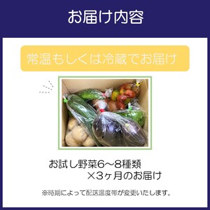 サザンぴあ お試し野菜6～8品 3ヶ月定期便【015B-002】