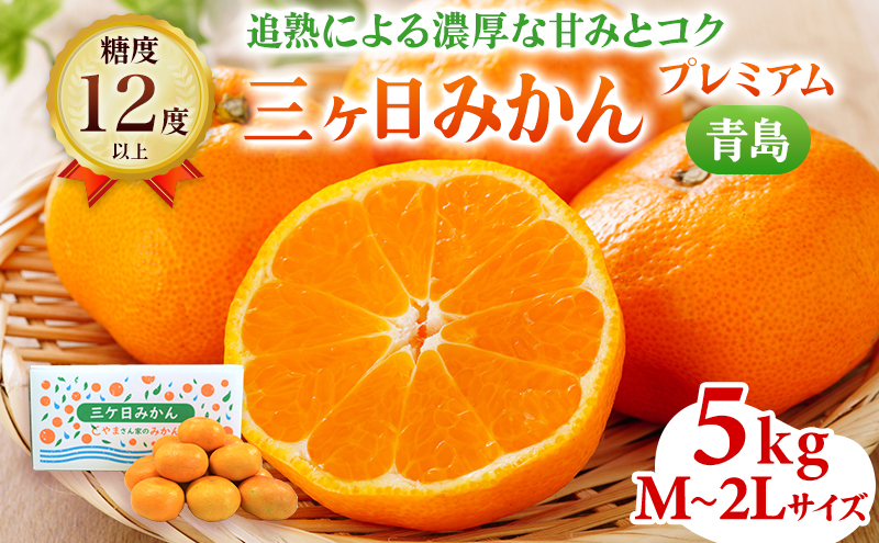 5kg 三ヶ日みかん プレミアム 青島 蜜柑 ミカン 果物 フルー