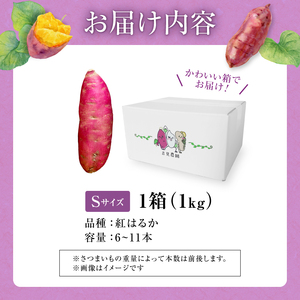北海道産 さつまいも 紅はるか 1kg さつまいも さつまいも さつまいも さつまいも