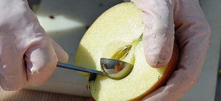 【五枚橋ワイナリー】林檎ワイン 和食に合う2本セット（ジョナゴールド）