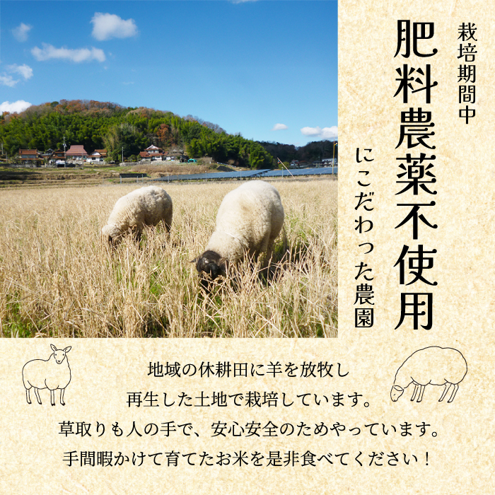 コシヒカリ【3か月定期便】《農薬・肥料：栽培期間中不使用》瀬戸内三原 羊飼いのこしひかり 玄米 15kg×3回  瀬戸内ビオファーム お米 こめ ご飯 002032