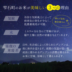 新米 あきたこまち 玄米 約 5kg 【わかふじ農産】 ／ 米