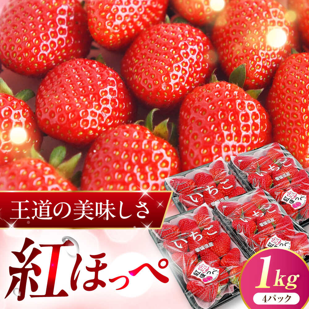 【先行予約】【2027年1月上旬～発送開始】【ふるさと納税】いちご 「紅ほっぺ」 4パック ／ イチゴ 苺 果物 フルーツ 国産 産地直送 愛媛県 内子町産【株式会社フジ・アグリフーズ】[BKAY002]