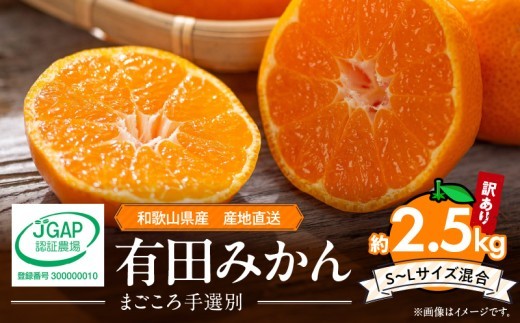 
                  【2026年先行予約】有田みかん 約2.5kg 【家庭用】 (S～Lサイズ混合)【まごころ手選別】_ZE6480
                