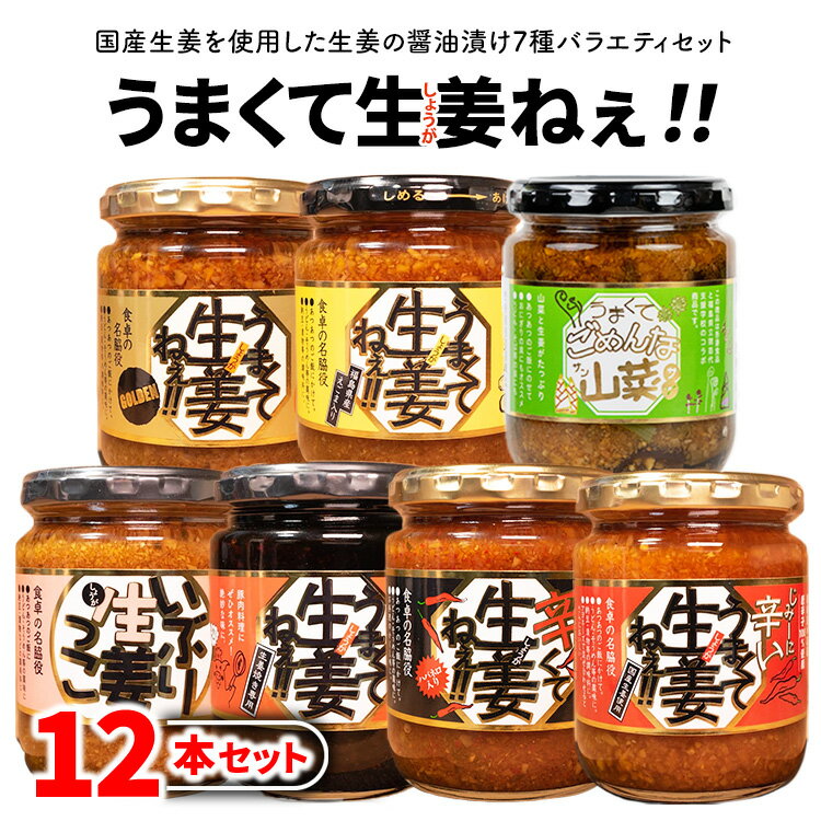 【ふるさと納税】うまくて生姜ねぇシリーズバラエティセット12本 【お中元】 | しょうが 国産 醤油漬け ごはんのお供 お弁当 調味料 おつまみ 肴 薬味 隠し味 猪苗代町 福島県