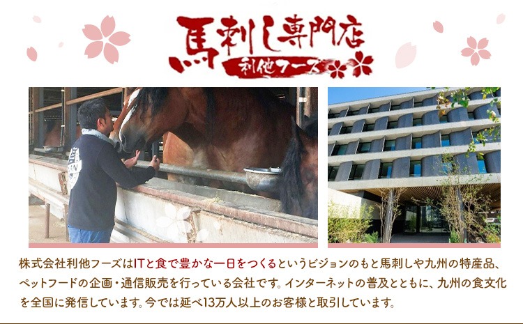 馬刺し 熊本 人気の 馬肉ユッケ たっぷり 500g 株式会社利他フーズ《30日以内に出荷予定(土日祝除く)》 ユッケ 海外産 国内肥育 冷凍 生食用 肉 馬肉 ふるさと納税馬刺し 熊本県 南阿蘇村 送料無料 馬刺 ばさし 名物---isms_rita03_30d_r7_20000---