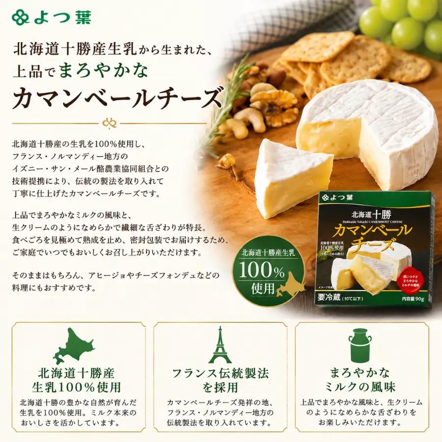 北海道  よつ葉カマンベールチーズ6個 【人気 おすすめ     セット  送料無料 】 SKA032