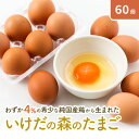 【ふるさと納税】卵 わずか4%の希少な純国産鶏 いけだの森たまご 60個 こだわり おこめのたまご 玉子 鶏卵 生卵 産地直送 冷蔵配送 TKG 卵かけご飯 岐阜県産　【 岐阜県 池田町 】