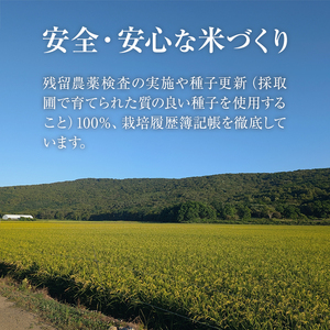 福岡県産米 元気つくし パックご飯 (計24P)お米 おこめ 米 こめ コメ 白米 福岡県産 ブランド米 パック 災害 備蓄 小分け 酸味料無添加 常温 常温保存 【ksg1748】【農産物直売所ほた