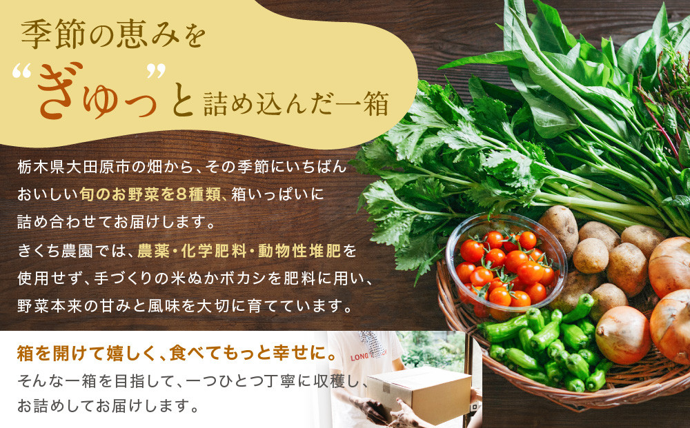 【先行予約 2027年5月より発送】【全3回定期便】農家からお届け！旬のお野菜たっぷり8種セット