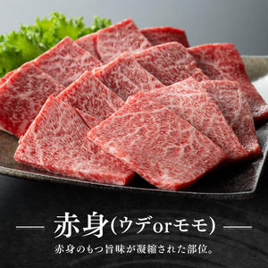 【令和7年11月発送】宮崎牛赤身(ウデorモモ)霜降り焼肉2種400g 【 肉 牛肉 国産 宮崎県産 黒毛和牛 和牛 焼肉 やきにく BBQ 4等級 A4ランク うで モモ 肩ロース ロース 】 [D