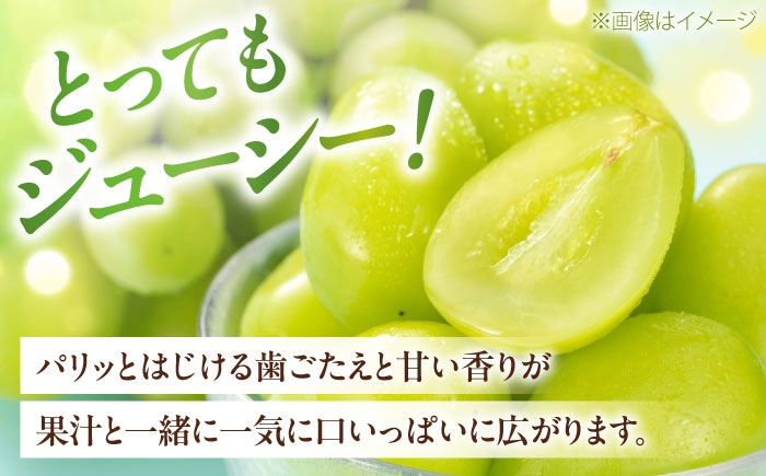シャインマスカット しゃいんますかっと シャイン マスカット ますかっと 秀品 3～5房 2kg 皮ごと 葡萄 ブドウ ぶどう