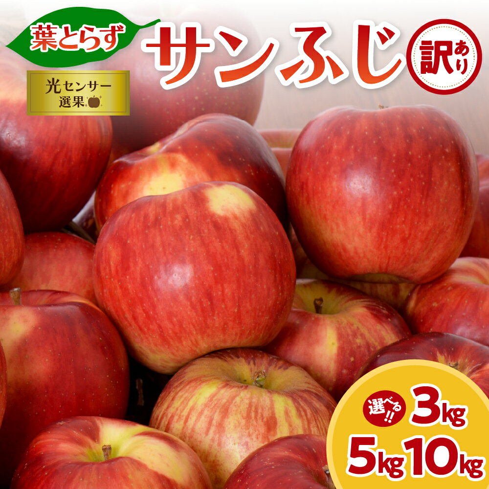 【ふるさと納税】★レビュー高評価★【 訳あり 】 葉とらず サンふじ ( 内容量が選べる 3kg 5kg 10kg / 配送時期が選べる 11月～3月 ) | 先行予約 りんご 無袋 年内配送 年内発送 規格外 不揃い 傷 家庭用 林檎 ふじ 果物 フルーツ 秋 旬 常温 青森県 五所川原市