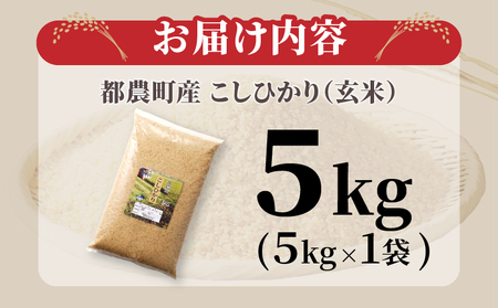 ≪都農町産≫新米コシヒカリ(玄米)5kg 米 お米 ご飯 国産_T031-003