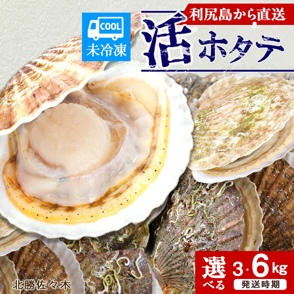 【ふるさと納税】 活ホタテ 選べる3kg～6kg！ 北海道利尻島から直送！ 選べる発送月【北勝佐々木】北海道ふるさと納税 利尻富士町 ふるさと納税 北海道 海鮮 ほたて 帆立 殻付き 冷蔵 魚貝類 生ほたて 未冷凍