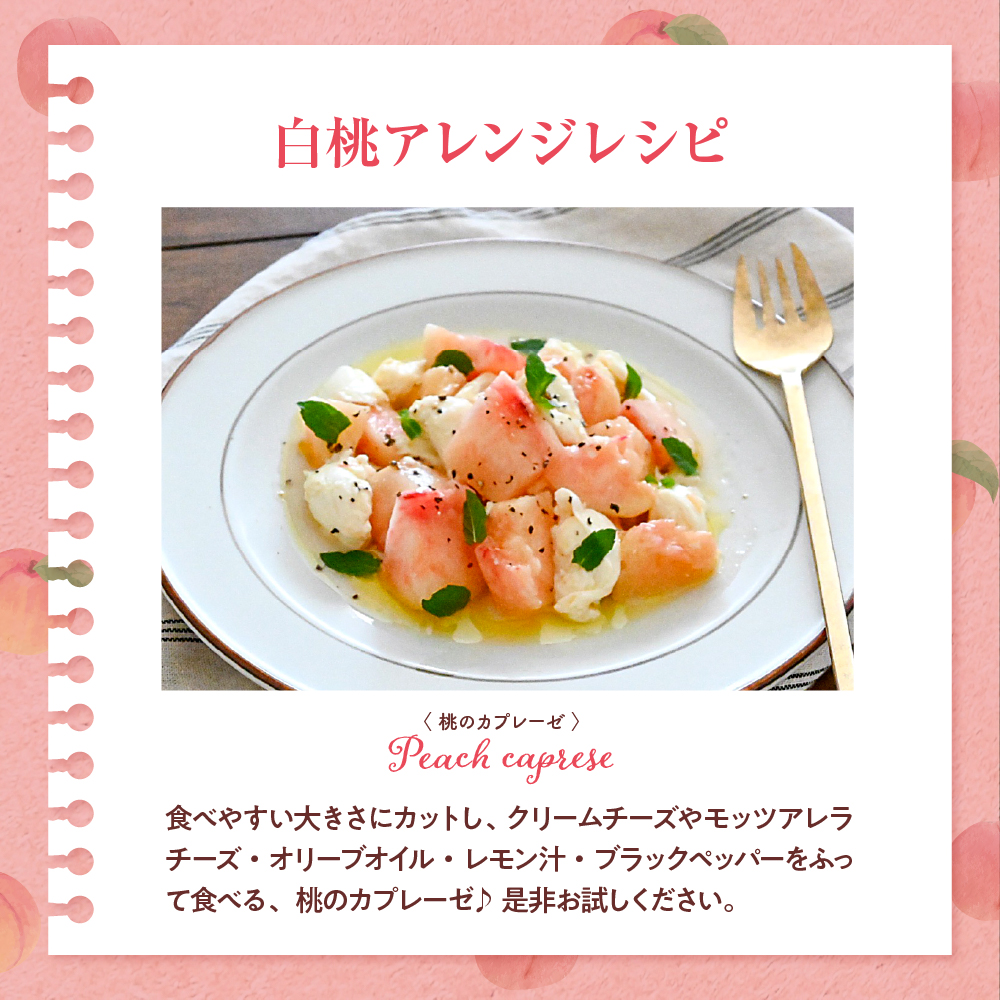 【2026年産】白桃 品種おまかせ 秀品2kg(硬め) 松栗提供 山形県 東根市 hi062-056 白桃 品種おまかせ 秀品2kg(硬め)