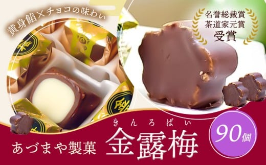 和菓子 黄身餡子 チョコレート 金露梅 90個 あづまや製菓有限会社 《30日以内に出荷予定(土日祝除く)》 徳島県 美馬市 阿波 郷土銘菓 自家製黄身餡 チョコ 名誉総裁賞 茶道家元賞 贈り物 お茶請け
