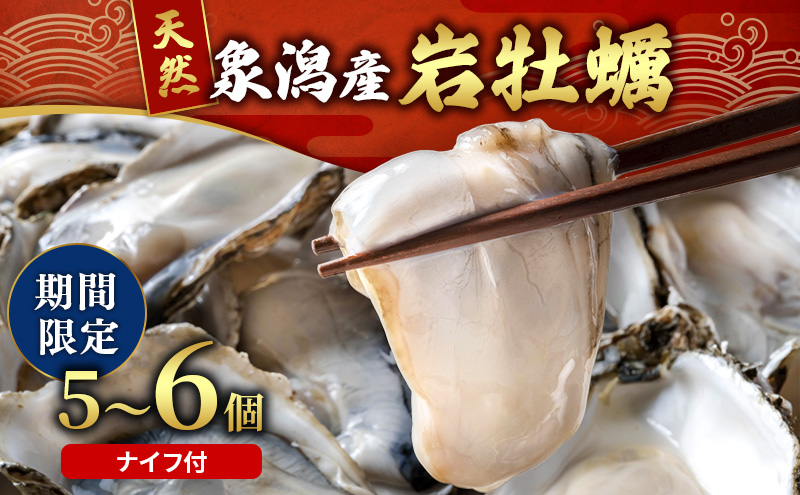 象潟産 天然岩牡蠣 5～6個 ナイフ付【牡蠣 夏牡蠣 かき 象潟 生食可 魚介類 海鮮 海産物 海の幸】　みずしまや