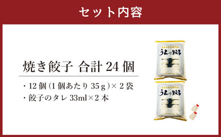 051-1167x1 うちの餃子 焼き餃子 2袋セット 合計24個 餃子のタレ付き 餃子 ぎょうざ ギョウザ  冷凍 おかず おつまみ 国産 豚肉 中華