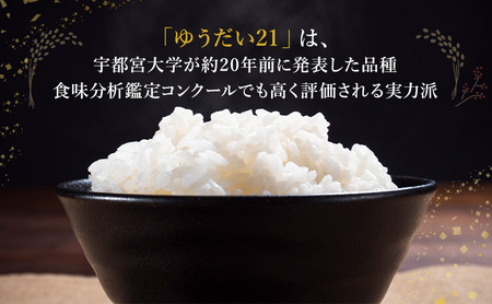 ゆうだい21 5kg 米 お米 精米 白米 こめ コメ 令和7年産 令和7年 福島県 郡山市