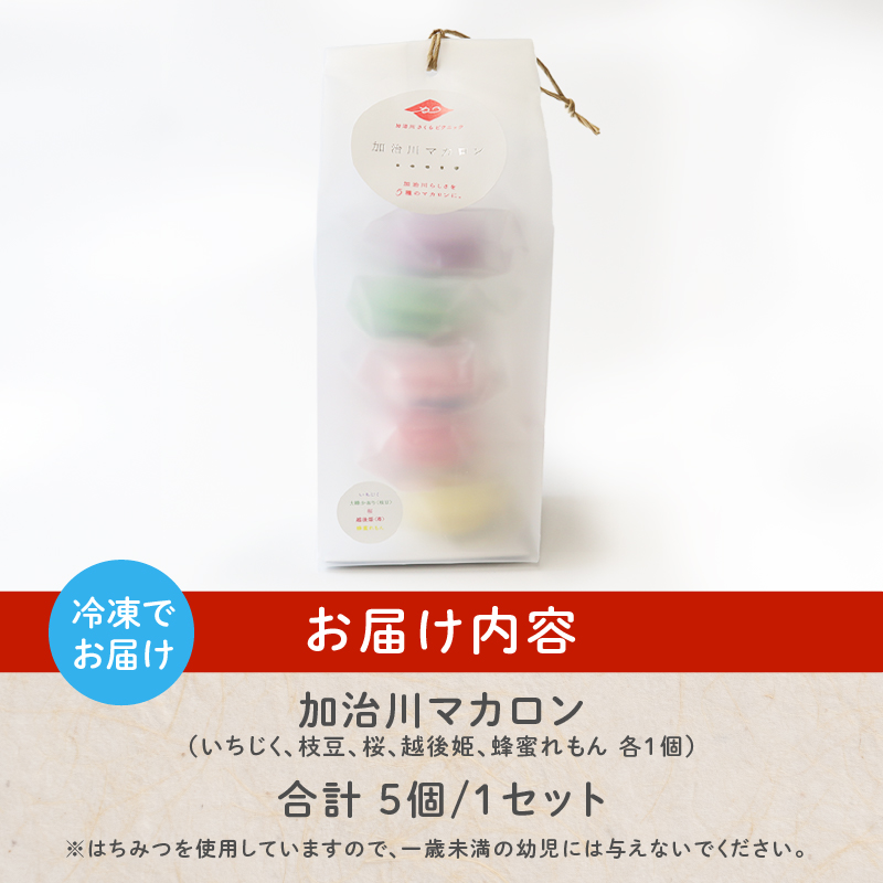マカロン 1セット イチジク 枝豆 桜 苺 はちみつ レモン いちご えだまめ 洋菓子 菓子 お菓子 スイーツ 甘味 ギフト プレゼント お土産 新潟県 新発田市 sinpo002