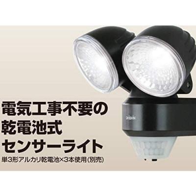 ふるさと納税 小野市 大進 乾電池式センサーライト2灯式 DLB-NS200 防犯ライト ソーラーライト 防雨 屋外 人感