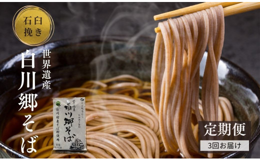 【定期便】世界遺産白川郷そば 2～3人前 300g 2袋 3回お届け ソバ そば 麺 新年 2024年 [S638]