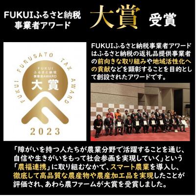 ふるさと納税 あわら市 【令和8年産】 【一等米】ハナエチゼン 精米 5kg 《発送直前精米!》 |  | 01