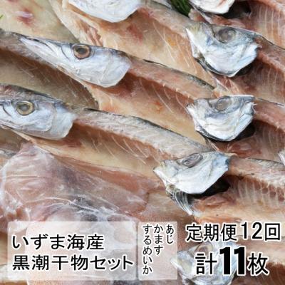 ふるさと納税 室戸市 黒潮干物11枚定期便【全12回】