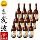 【ふるさと納税】麦焼酎 麦波 ばっは 720ml 12本 セット 25度 麦 麦麹 減圧蒸留 焼酎 お酒 国産 大分県産 九州 送料無料