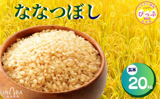 令和7年産 ななつぼし 玄米 20kg【稲場農場】米 お米 北海道米 特Aランク 国産 コメ 北海道 比布町 ぴっぷ 1024-007