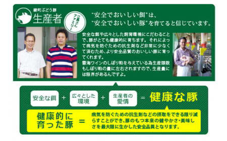 綾ぶどう豚のバラ＆ロースお試しセット（22-28）